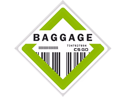 The Baggage Collection