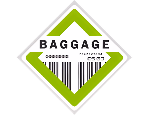 The Baggage Collection