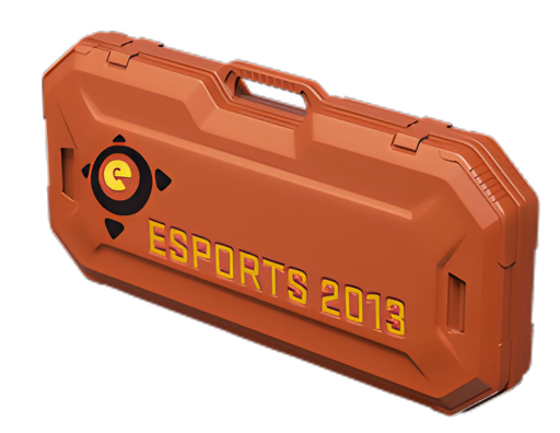 eSports 2013 Case