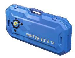 eSports 2013 Winter Case