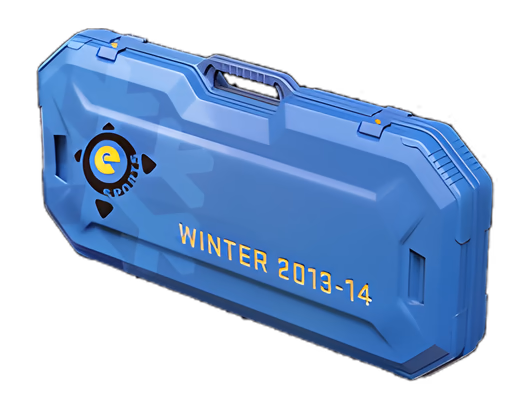 eSports 2013 Winter Case