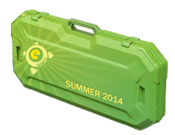eSports 2014 Summer Case