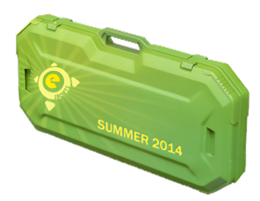 eSports 2014 Summer Case
