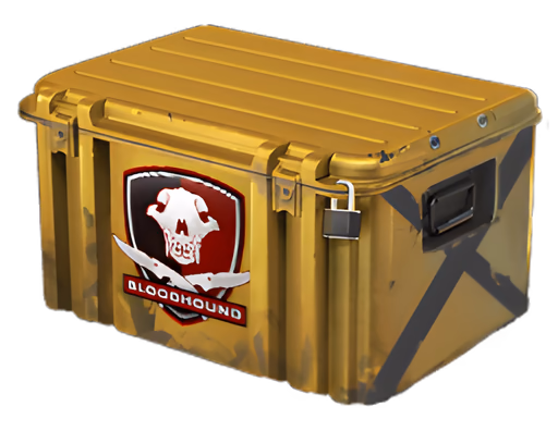 Falchion Case