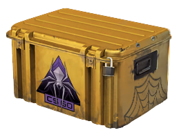 Shattered Web Case