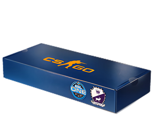 ESL One Cologne 2014 Cobblestone Souvenir Package