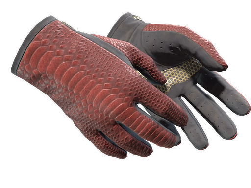 ★ Driver Gloves | Dragon Fists