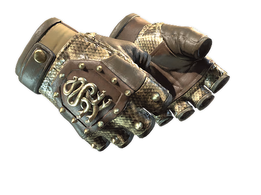 ★ Hydra Gloves | Rattler