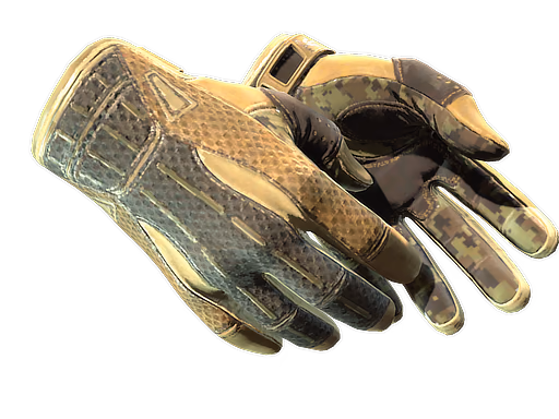 ★ Sport Gloves | Arid