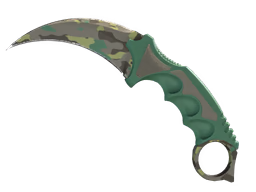 ★ Karambit Boreal Forest