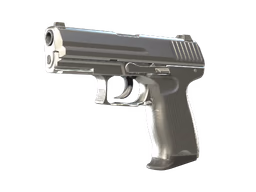P2000 Silver