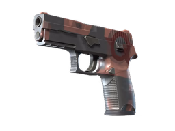 P250 Constructivist