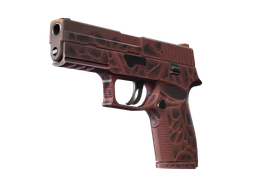 P250 Contaminant