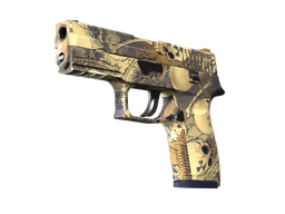 P250 Contamination