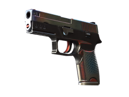 P250 Cyber Shell