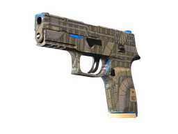 P250 Exchanger