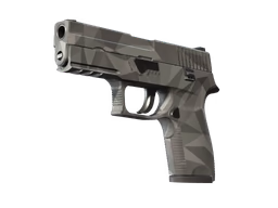 P250 Facets