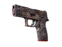 P250 Facility Draft