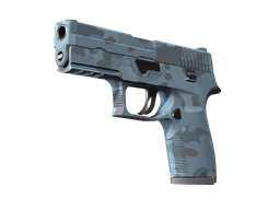 P250 Forest Night