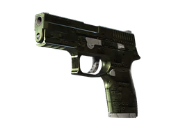P250 Iron Clad