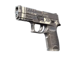 P250 Re.built