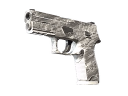 P250 Sleet