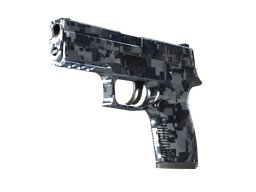 P250 Steel Disruption