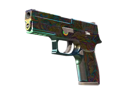 P250 Visions