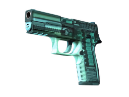 P250 X-Ray