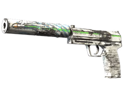 USP-S Road Rash