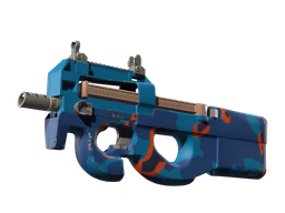P90 Blind Spot