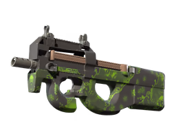 P90 Virus
